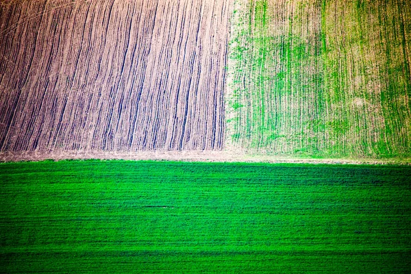 Abstract aerial view of agricultural field in spring — Stock Photo, Image