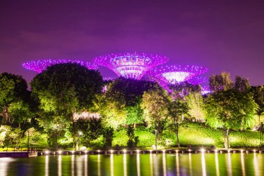 Singapur, Singapur-Mart 2019: Supertrees li için aydınlatılmış