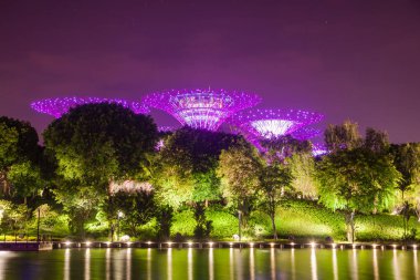 Singapur, Singapur-Mart 2019: Supertrees li için aydınlatılmış