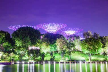 Singapur, Singapur-Mart 2019: Supertrees li için aydınlatılmış