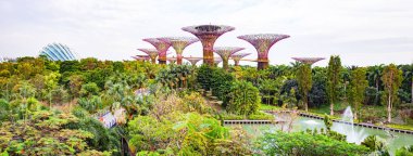 Singapur, Singapur-Mart 2019: bahçeler içinde Supertrees