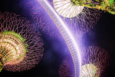 Singapur, Singapur-Mart 2019: Supertrees li için aydınlatılmış