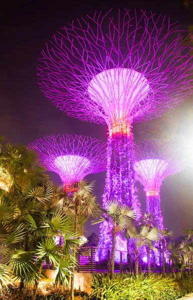 SINGAPORE, SINGAPORE - MARZO 2019: Superalberi illuminati per — Foto Stock