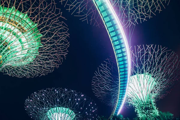 SINGAPORE, SINGAPORE - MARCH 2019: Supertrees illuminated for li — Stock Photo, Image