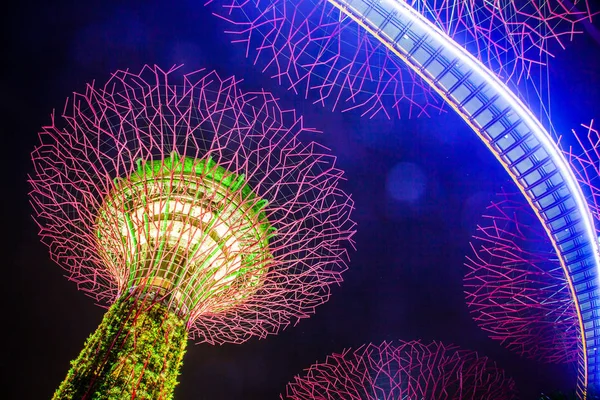 SINGAPORE, SINGAPORE - MARCH 2019: Supertrees illuminated for li — Stock Photo, Image