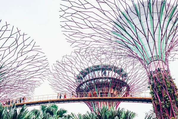 SINGAPORE, SINGAPORE - MARZO 2019: Supertree Grove & OCBC Skyway — Foto Stock