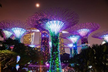Singapur, Singapur-Mart 2019: Supertrees li için aydınlatılmış
