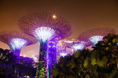 Singapur, Singapur-Mart 2019: Supertrees li için aydınlatılmış