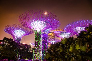 Singapur, Singapur-Mart 2019: Supertrees li için aydınlatılmış