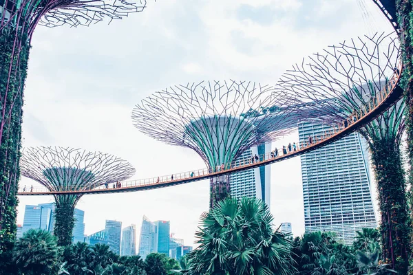 SINGAPORE, SINGAPORE - MARZO 2019: Supertree Grove & OCBC Skyway — Foto Stock