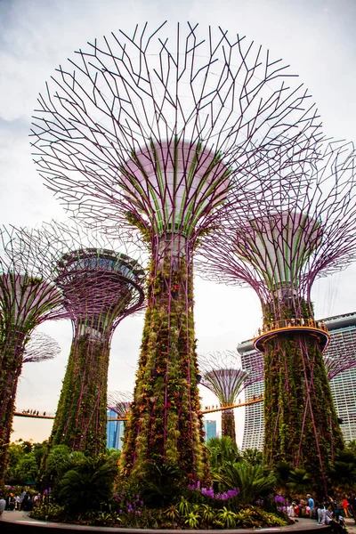 SINGAPORE, SINGAPORE - MARZO 2019: Supertree Grove & OCBC Skyway — Foto Stock