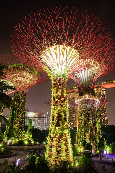 SINGAPORE, SINGAPORE - MARZO 2019: Superalberi illuminati per — Foto Stock