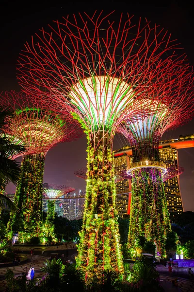 SINGAPORE, SINGAPORE - MARZO 2019: Superalberi illuminati per — Foto Stock