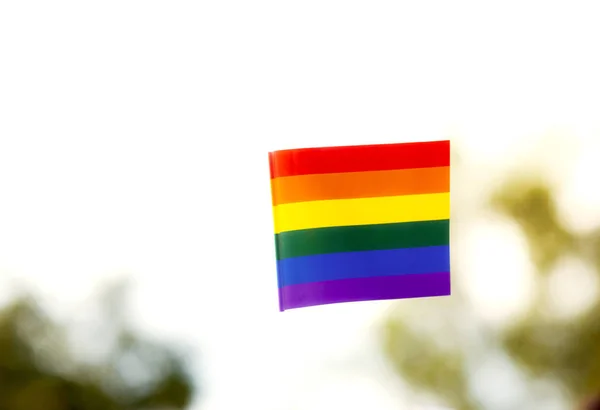 Comunidad del orgullo en un desfile con las manos levantadas y la bandera LGBT — Foto de Stock