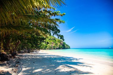 palmiye ağaçları ve mavi deniz ile tropikal cennet arka plan