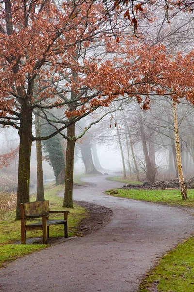 Mystical foggy autumn park in october — Stock Photo, Image