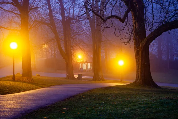 Mystical foggy autumn park in october — Stock Photo, Image
