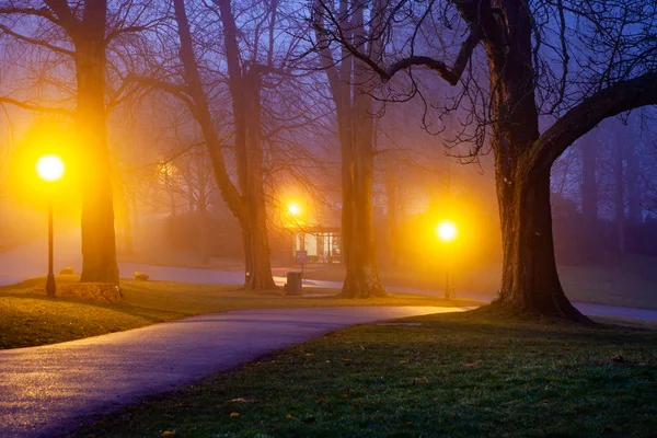 Mystieke mistige herfst Park in oktober — Stockfoto