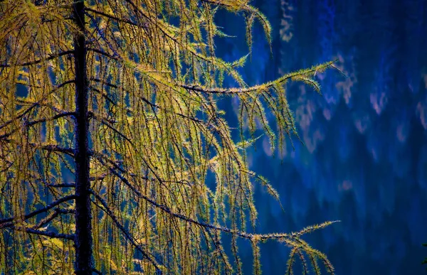 Pragser See Den Dolomiten Südtirol Italien — Stockfoto