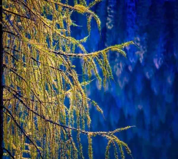 Lago Braies Nas Montanhas Dolomites Sudtirol Itália — Fotografia de Stock