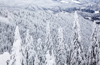 Dağlardaki kar fırtınalarıyla büyülü kış manzarası