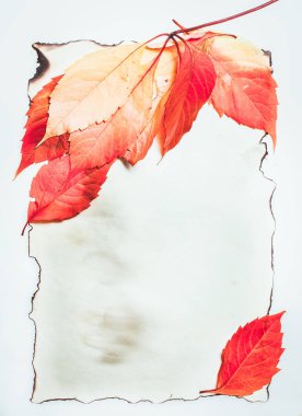 Sonbahar metin için arkaplanı boşlukla bırakır