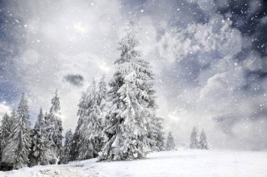 Sihirli Noel kartı ile peri masalı kışın sümüklü manzarası