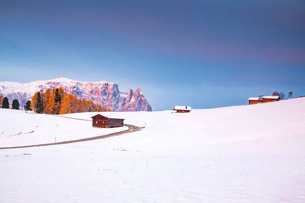 Niesamowity zimowy krajobraz o wschodzie słońca w Alpe di Siusi. Dolomity — Zdjęcie stockowe