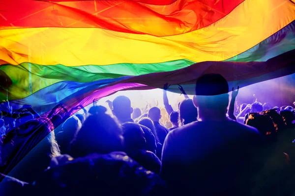 Silhouet Van Een Parade Van Homo Lesbiennes Met Een Regenboogvlag — Stockfoto