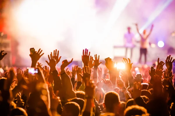 Publikum Beim Sommer Musikfestival — Stockfoto