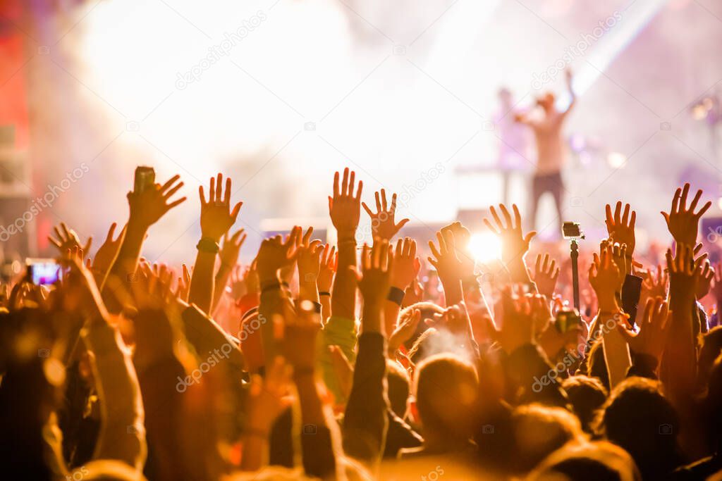 Crowd at concert summer  music festival