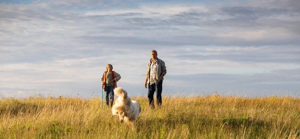 Coppia Anziana Con Loro Cane All Aperto — Foto Stock