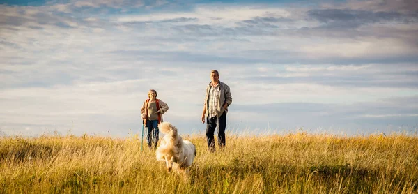 Coppia Anziana Con Loro Cane All Aperto — Foto Stock