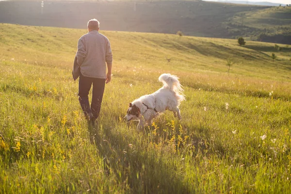 Senior Couple Dog Outdoors — Stock Photo, Image