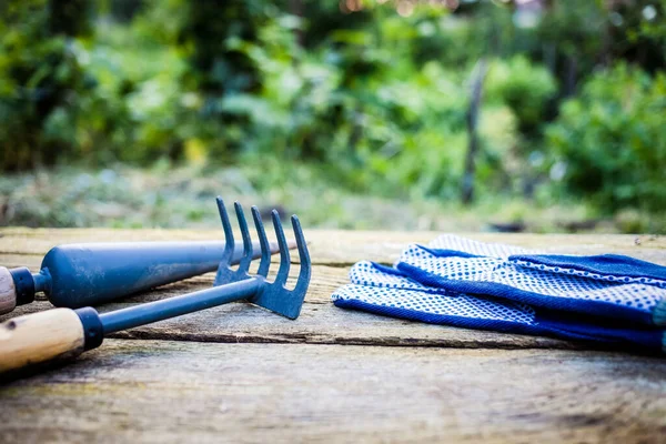 Gardening Tools Summer Garden — Stock Photo, Image