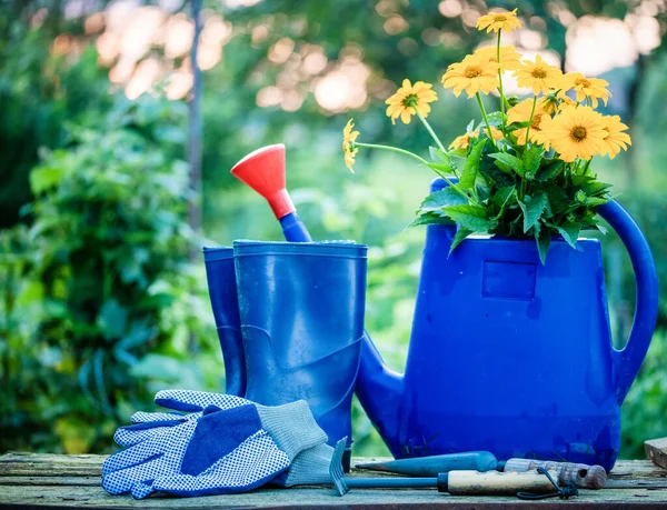 정원에서 정원을 가꾸는 — 스톡 사진