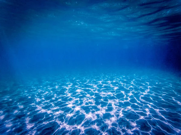 Fondo Submarino Tropical Azul Océano Patrón Naturaleza Lujo — Foto de Stock