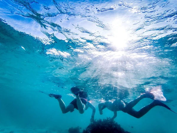 Casal Snorkeling Águas Tropicais Cristalinas — Fotografia de Stock