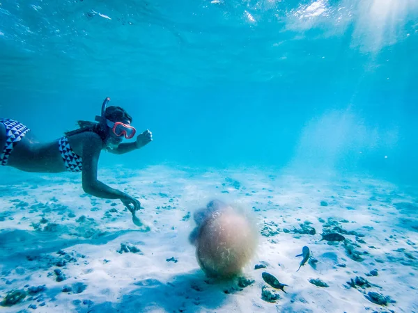 Mujer Buceando Mirando Una Medusa Aguas Tropicales Cristalinas —  Fotos de Stock