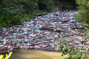Nehir plastik kirlilik zeminiyle doldu