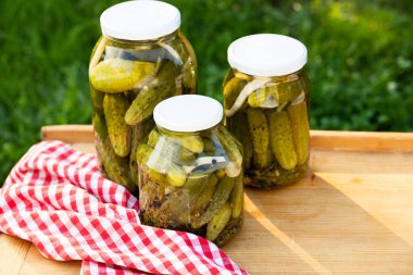 Kış organik gıdalar için salatalık turşusu