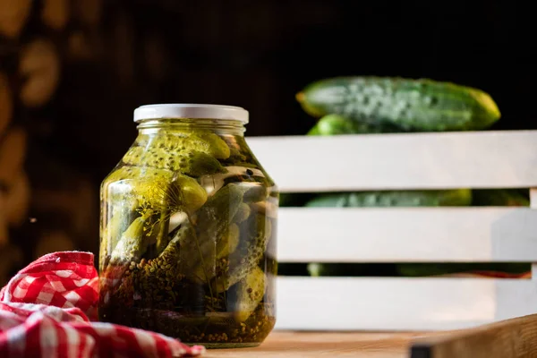 Pepinos Conservados Escabeche Comida Orgânica Inverno — Fotografia de Stock