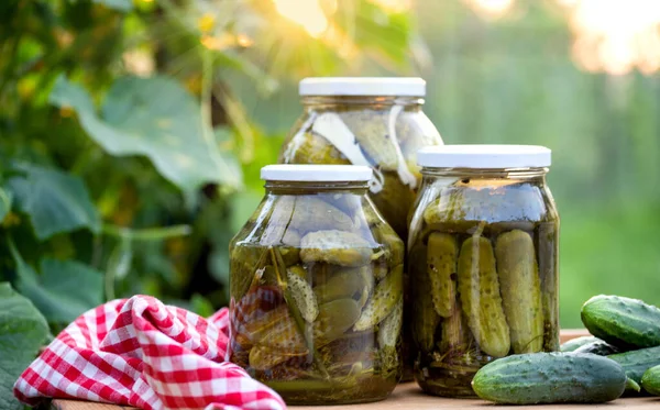 Pepinos Conservados Escabeche Comida Orgânica Inverno — Fotografia de Stock