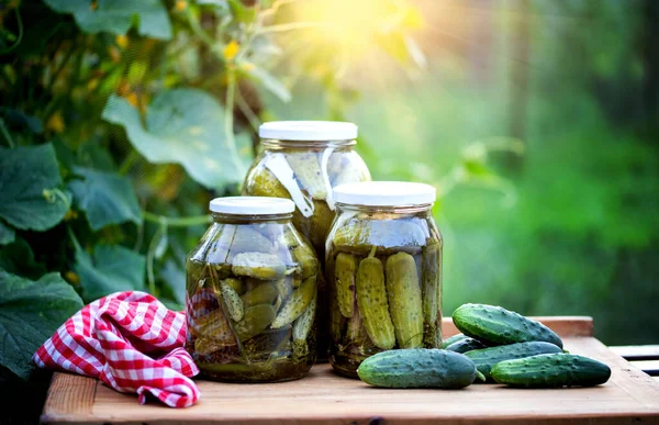 Pepinos Conservados Escabeche Comida Orgânica Inverno — Fotografia de Stock