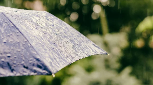 Déšť Padající Deštník Počasí Kleště — Stock fotografie