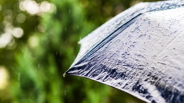 Esőzés Esernyőre Eső Időjárás Erőkifejtés — Stock Fotó