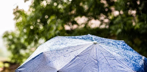Lluvia Cayendo Sobre Paraguas Tiempo Forcast — Foto de Stock