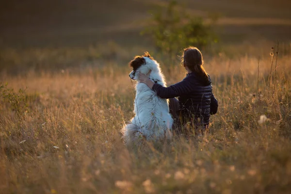 Счастливая Женщина Белой Собакой Осеннем Пейзаже — стоковое фото