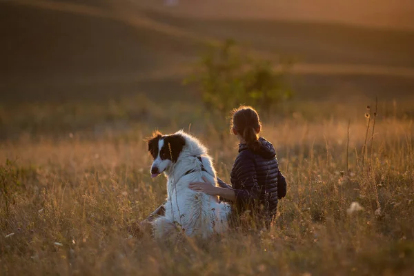 Mujer Feliz Con Perro Blanco Paisaje Otoño —  Fotos de Stock