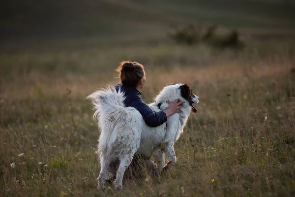 Glückliche Frau Mit Weißem Hund Herbstlicher Landschaft — Stockfoto